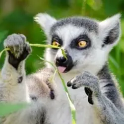 Юлия Гончарова