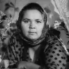 Валентина Телегина